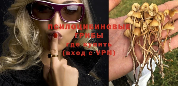 спайс Бердск