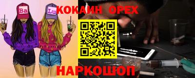 дмт Аргун
