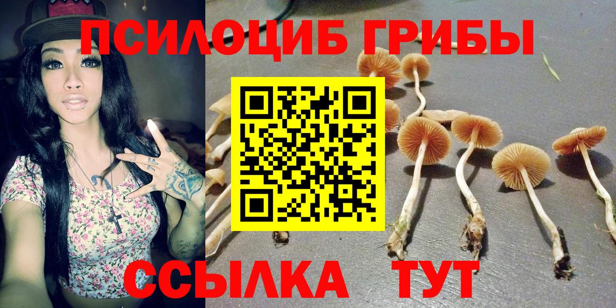 Галлюциногенные грибы мицелий  Псилоцибиновые грибы Magic Shrooms  Апрелевка  Вход с VPN 